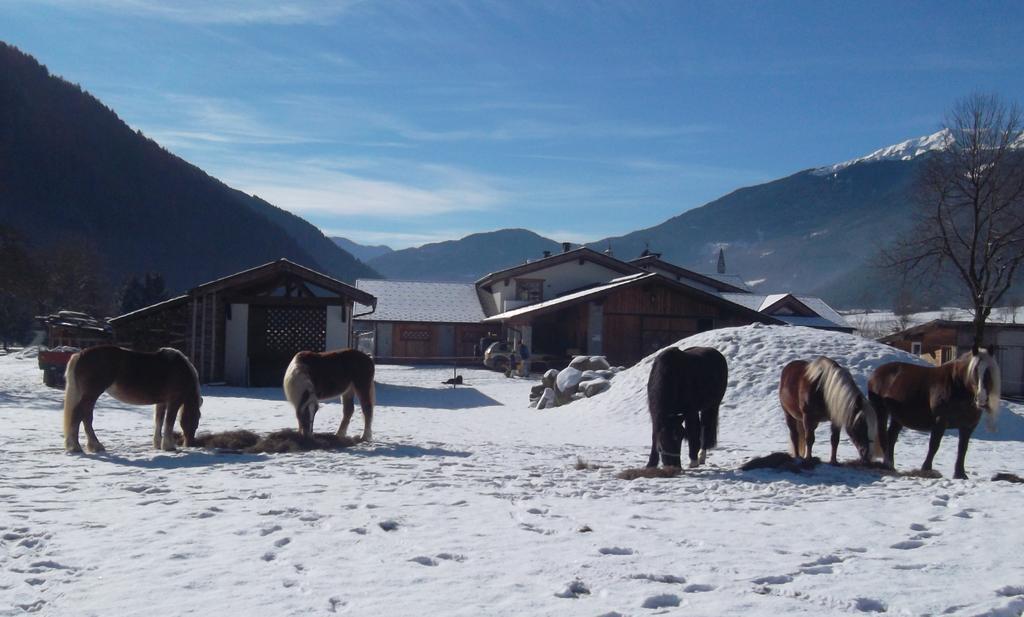 Maso Grisun Farm stay Borzago