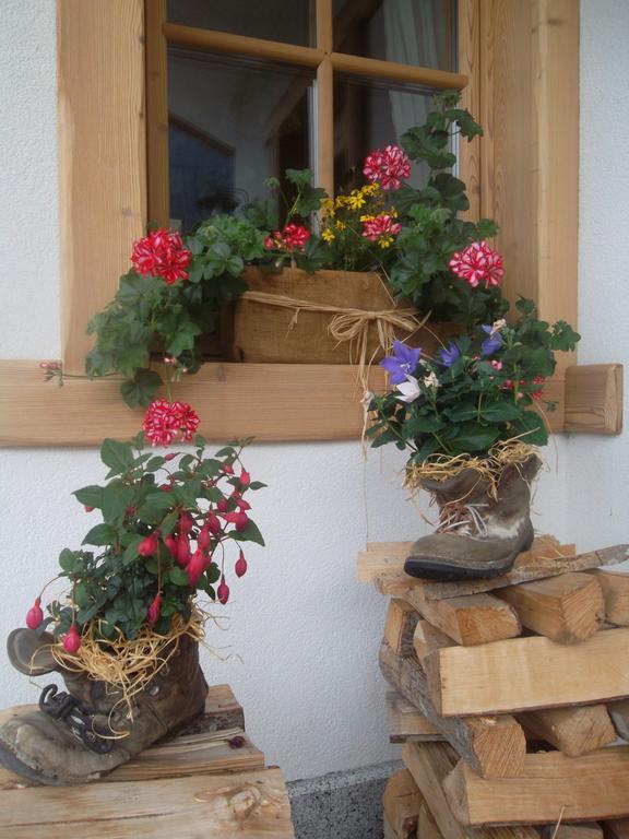 Maso Grisun Farm stay *