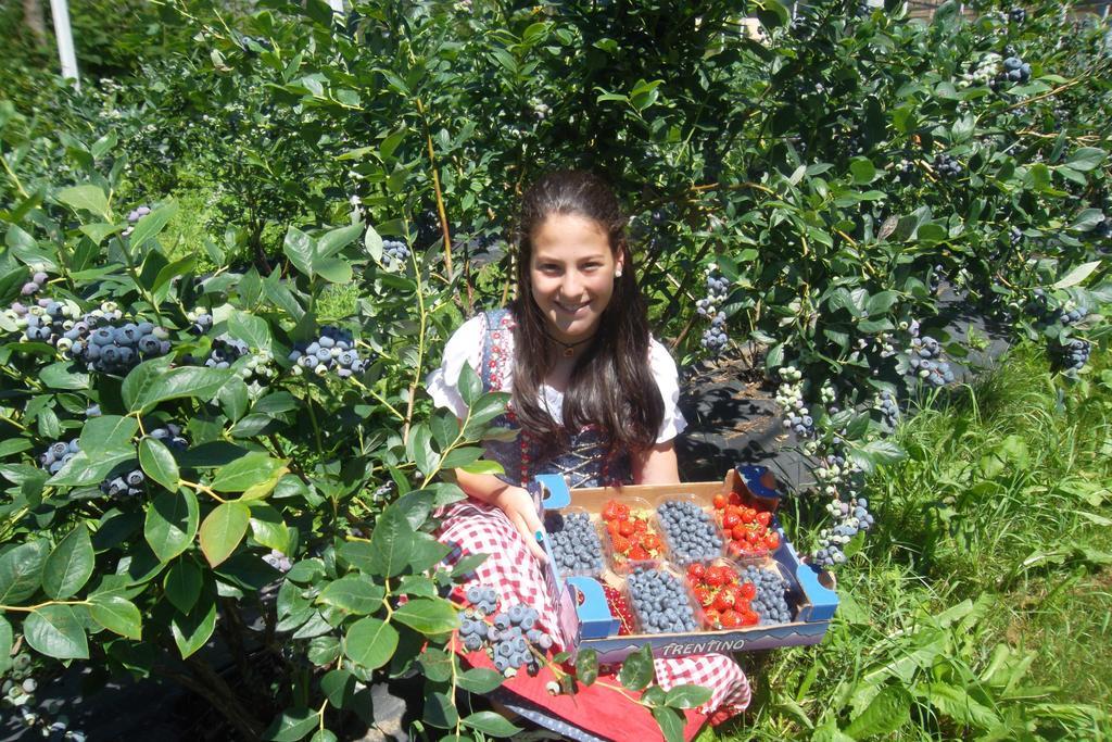 Maso Grisun Farm stay