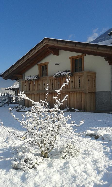 Farm stay Maso Grisun