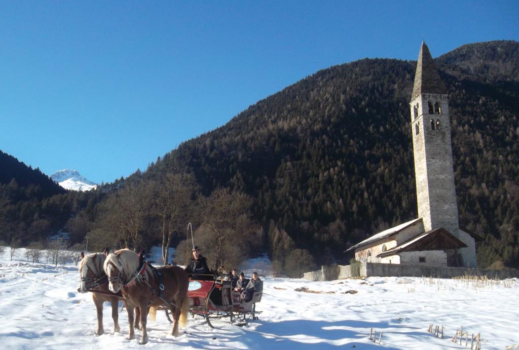 Maso Grisun Farm stay