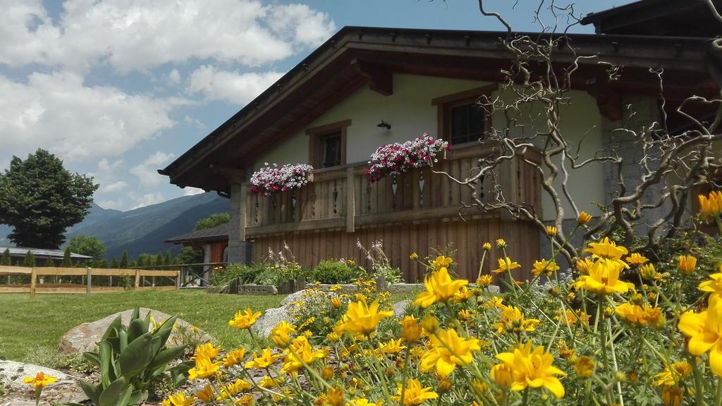 Farm stay Maso Grisun Borzago