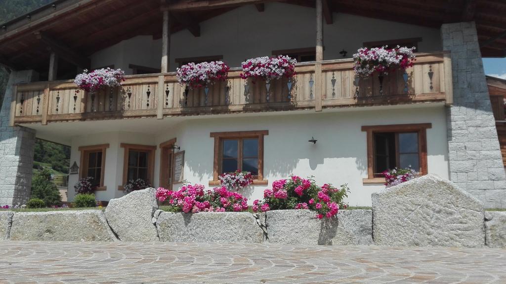 Farm stay Maso Grisun
