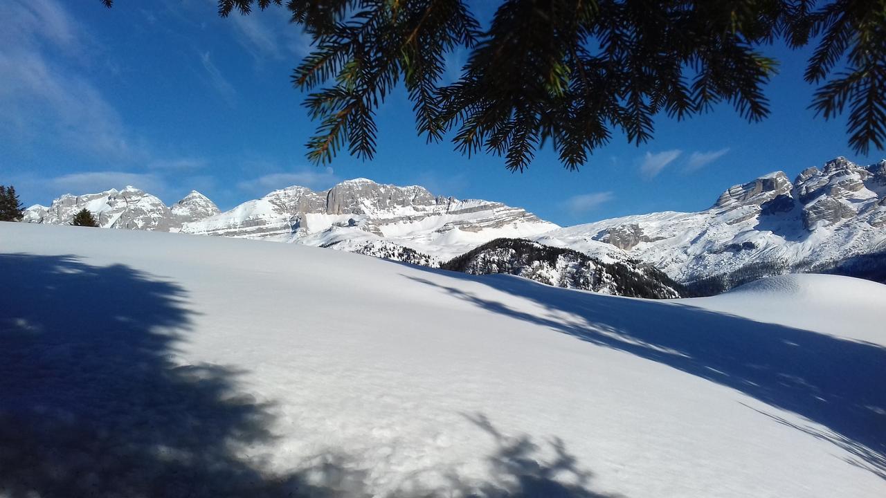Maso Grisun * Borzago